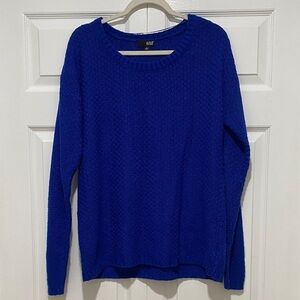 Women's cobalt Blue Sweater
